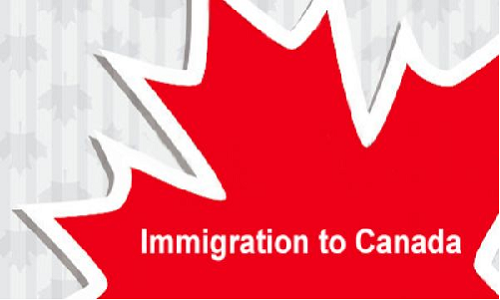 Who is the best immigration consultant in Delhi 